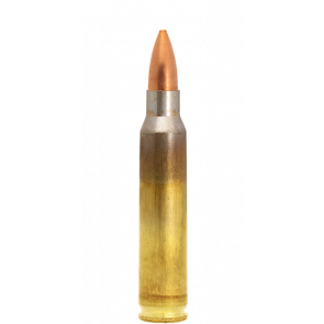 Lapua - Ammunition - ..223 Rem. / 3.6 g (55 gr) FMJ  S569 - Box of 20